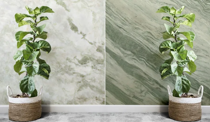 Мрамор Green Pink Onyx
